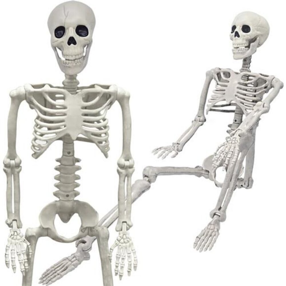 Posable Skeleton Decor 36 Inch Full Body Halloween